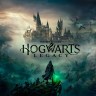 Игра Hogwarts Legacy Standart Edition для PC / ПК, активация в стим Steam для регионов СНГ (кроме РФ и РБ) цифровой ключ