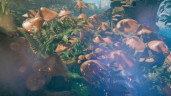 Smalland: Survive the Wilds, Steam Gift