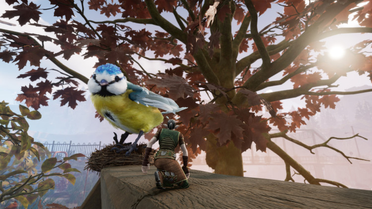 Smalland: Survive the Wilds, Steam Gift