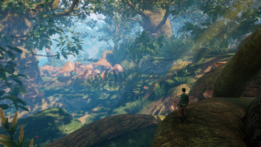 Smalland: Survive the Wilds, Steam Gift