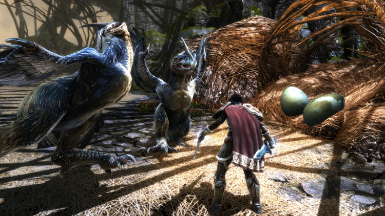 Kingdoms of Amalur: Re-Reckoning, Steam Gift