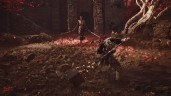Mortal Shell II - Devout Edition, Steam Gift