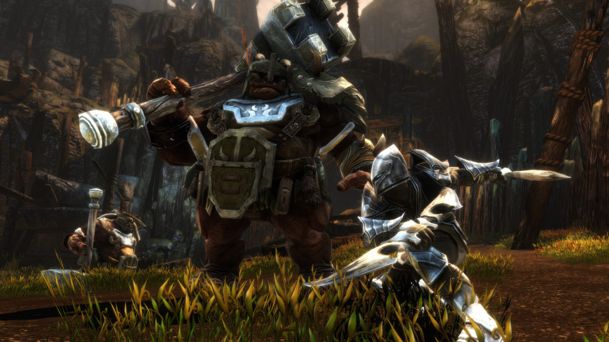 Kingdoms of Amalur: Re-Reckoning FATE Edition, Steam Gift