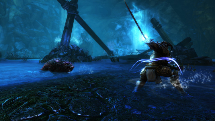 Kingdoms of Amalur: Re-Reckoning FATE Edition, Steam Gift