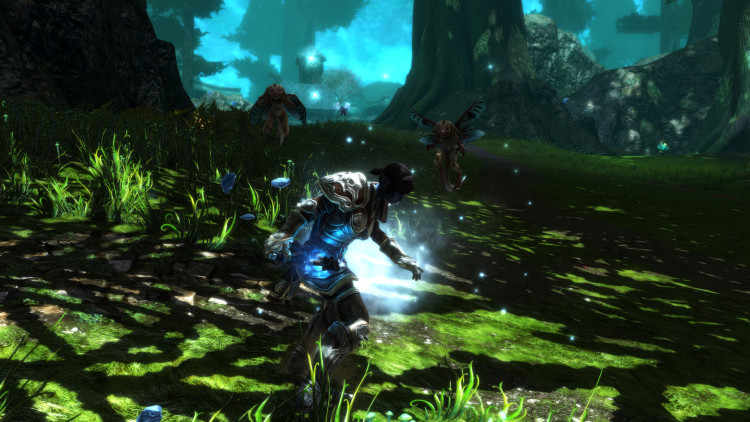 Kingdoms of Amalur: Re-Reckoning FATE Edition, Steam Gift
