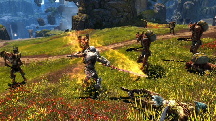Kingdoms of Amalur: Re-Reckoning FATE Edition, Steam Gift