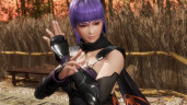 DEAD OR ALIVE 6 Last Round, Steam Gift