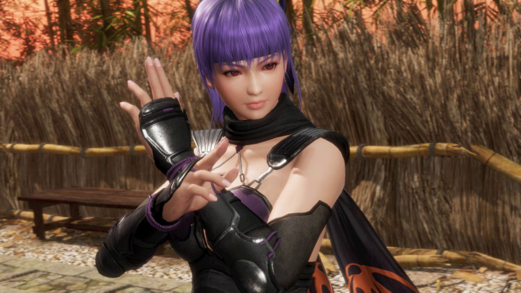 DEAD OR ALIVE 6 Last Round, Steam Gift