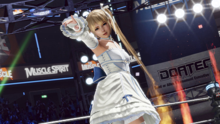DEAD OR ALIVE 6 Last Round, Steam Gift