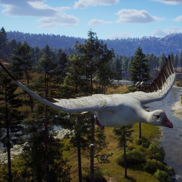 Way of the Hunter