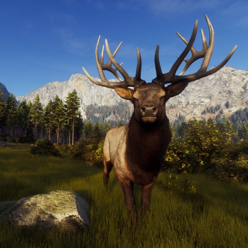Way of the Hunter
