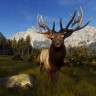 Way of the Hunter