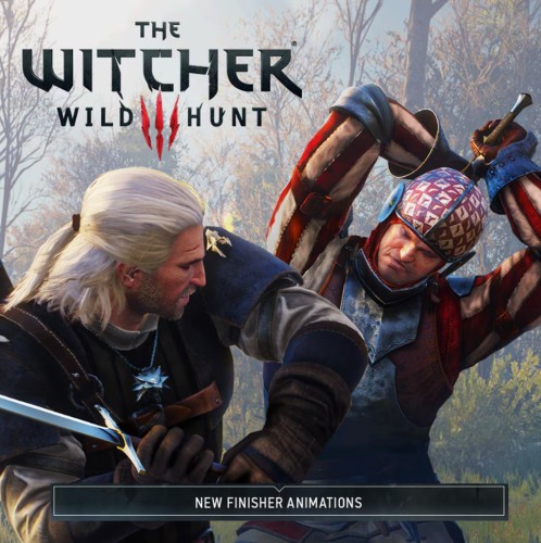 DLC Дополнение The Witcher 3: Wild Hunt - New Finisher Animations PC, Steam Gift регион Россия, РФ