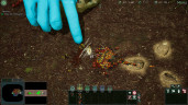 Empires of the Undergrowth, Steam Gift