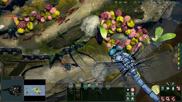 Empires of the Undergrowth, Steam Gift