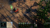 Empires of the Undergrowth, Steam Gift