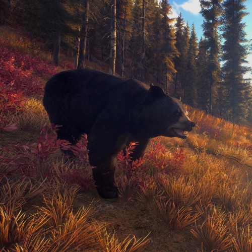 Way of the Hunter: Elite Edition