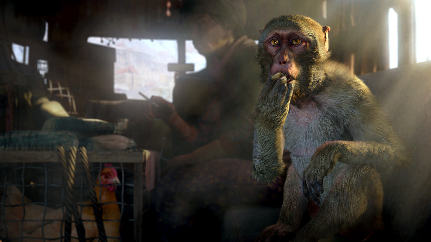 Far Cry 4, Steam Gift