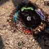 Empire of the Ants
