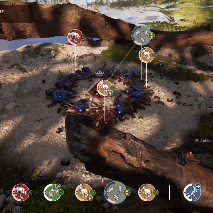 Empire of the Ants
