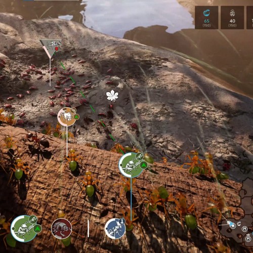 Empire of the Ants