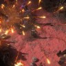 Path of Exile 2 Early Access Supporter Packs