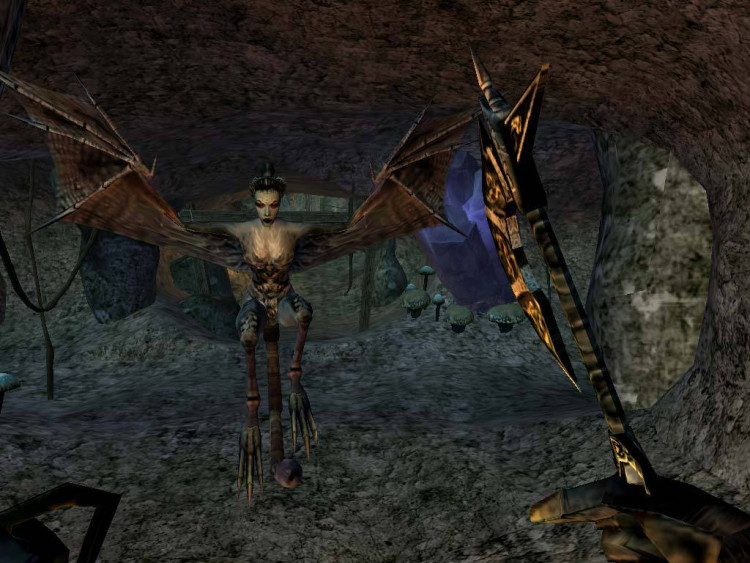 The Elder Scrolls III: Morrowind® Game of the Year Edition, Steam Gift