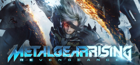 METAL GEAR RISING: REVENGEANCE, Steam Gift