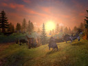 SpellForce - Platinum Edition (NA), Steam Gift
