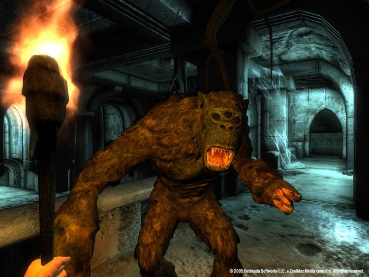 The Elder Scrolls IV: Oblivion® Game of the Year Edition (2009), Steam Gift