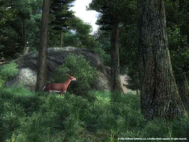 The Elder Scrolls IV: Oblivion® Game of the Year Edition (2009), Steam Gift