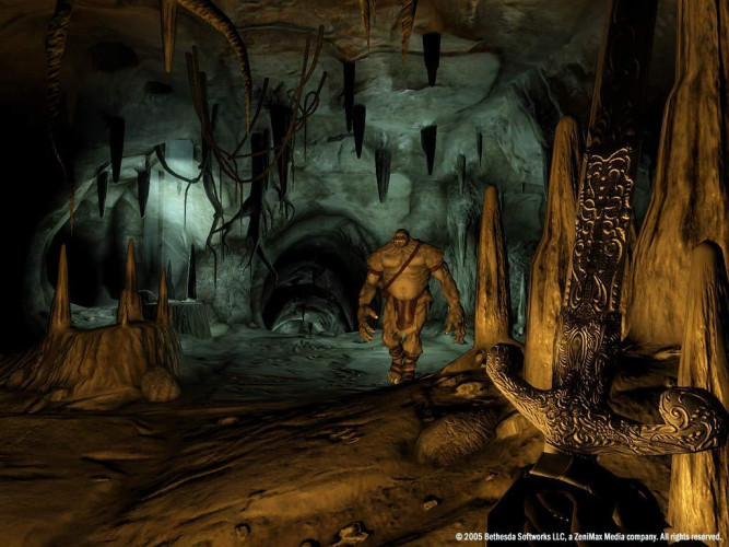 The Elder Scrolls IV: Oblivion® Game of the Year Edition Deluxe (2009), Steam Gift
