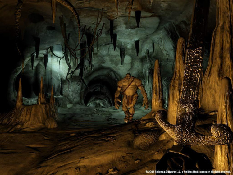 The Elder Scrolls IV: Oblivion® Game of the Year Edition Deluxe (2009), Steam Gift