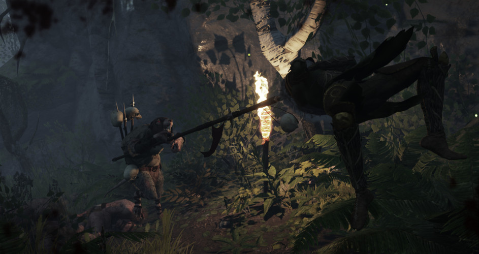 Warhammer: End Times - Vermintide - Collector's Edition, Steam Gift