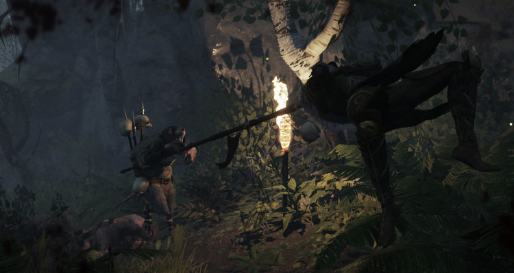 Warhammer: End Times - Vermintide - Collector's Edition, Steam Gift