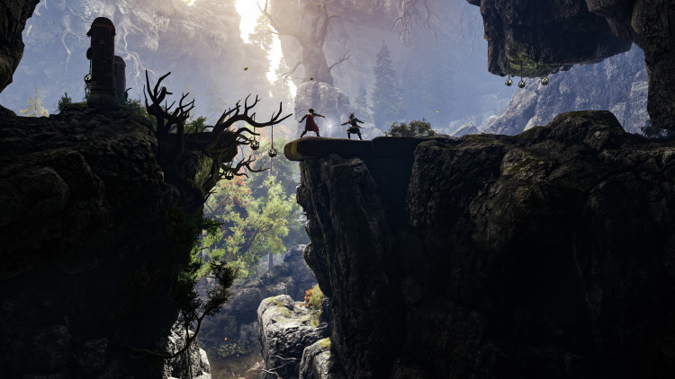 GreedFall, Steam Gift