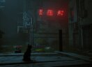 Stray
