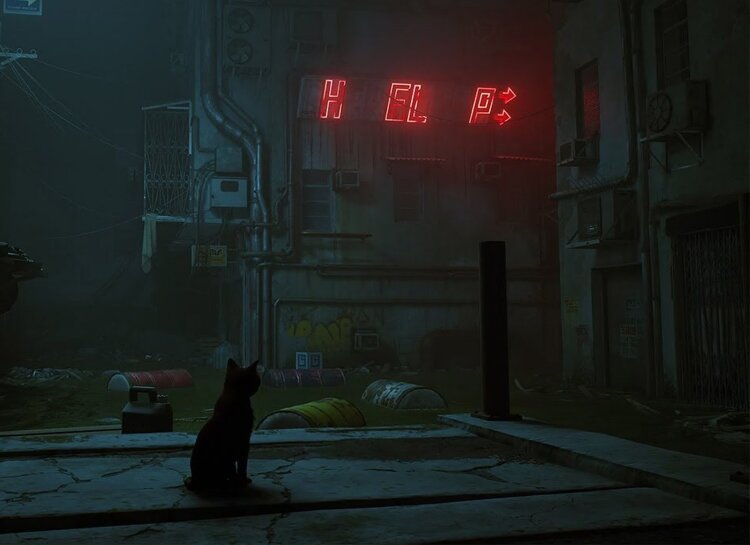 Stray