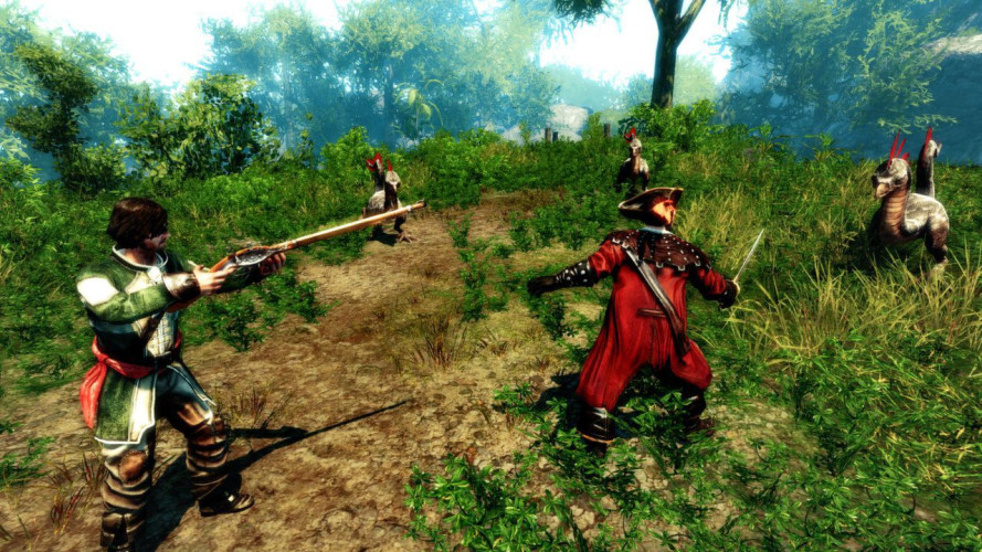 Risen 2 - Dark Waters Gold Edition, Steam Gift