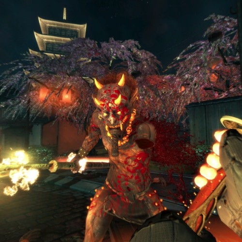 THE SHADOW WARRIOR COLLECTION