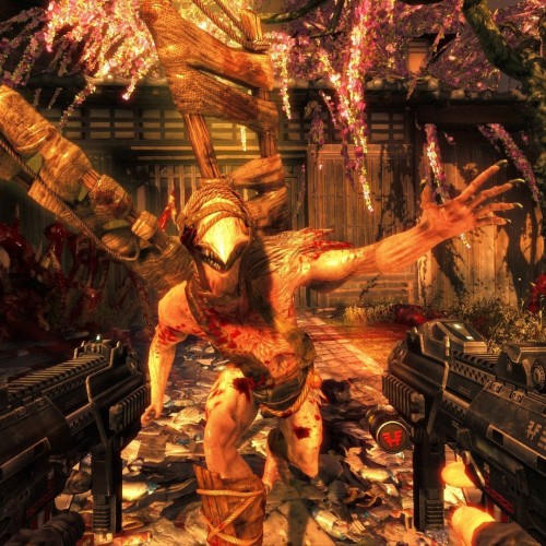 THE SHADOW WARRIOR COLLECTION
