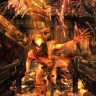 THE SHADOW WARRIOR COLLECTION