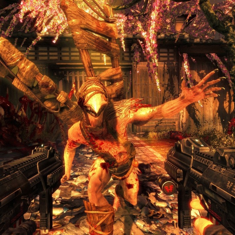 THE SHADOW WARRIOR COLLECTION