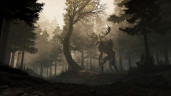 GreedFall - Gold Edition, Steam Gift