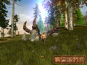Ascension to the Throne, Steam Gift