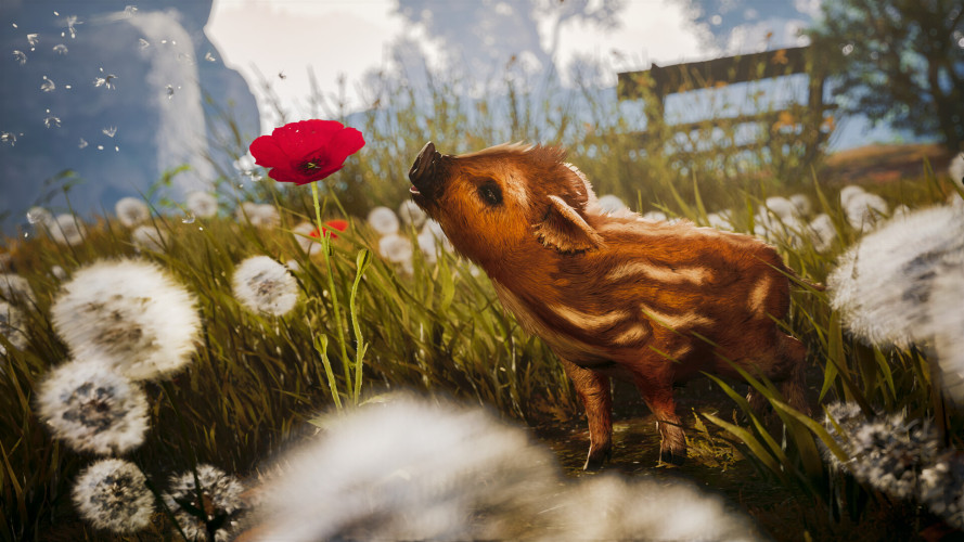 Adorable Adventures, Steam Gift