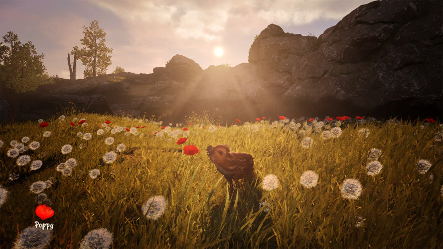 Adorable Adventures, Steam Gift