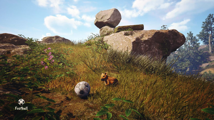 Adorable Adventures, Steam Gift