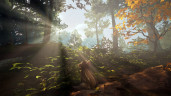 Adorable Adventures, Steam Gift