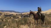 Mount & Blade II: Bannerlord, Steam Gift